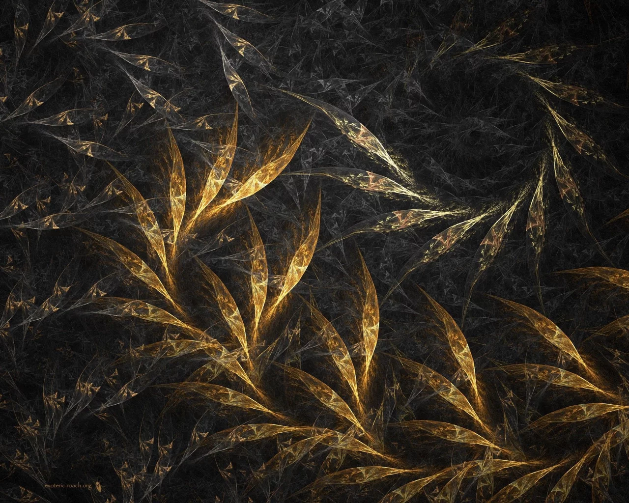 form, rotation, dark, leaves