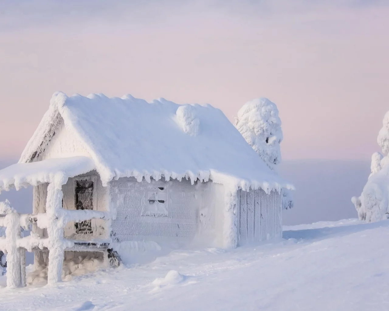wood, frost, nature, calm, landscape, snow