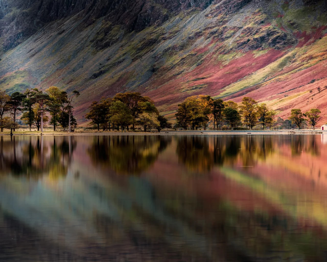 buttermere, lake, england, pine trees, reflection, panoramic
