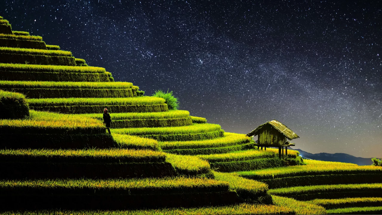 terrace, farming, rice fields, agriculture, country side