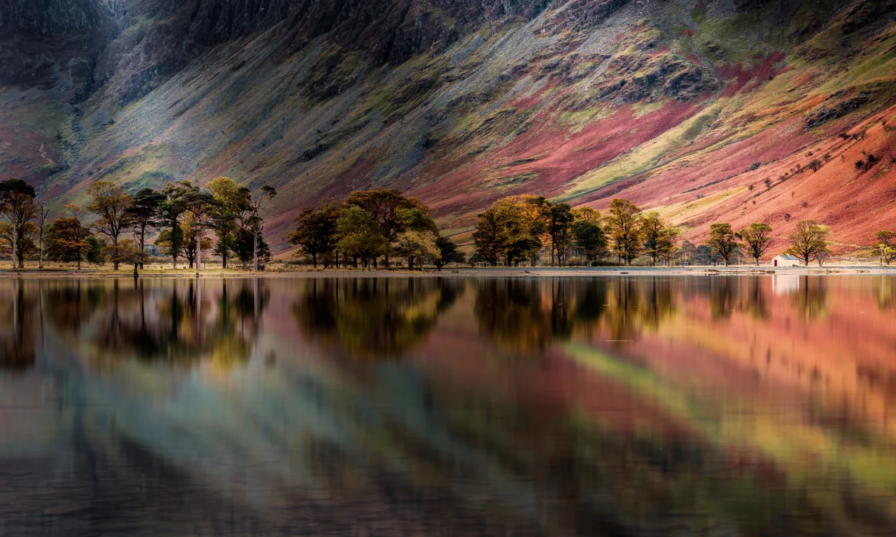 buttermere, lake, england, pine trees, reflection, panoramic