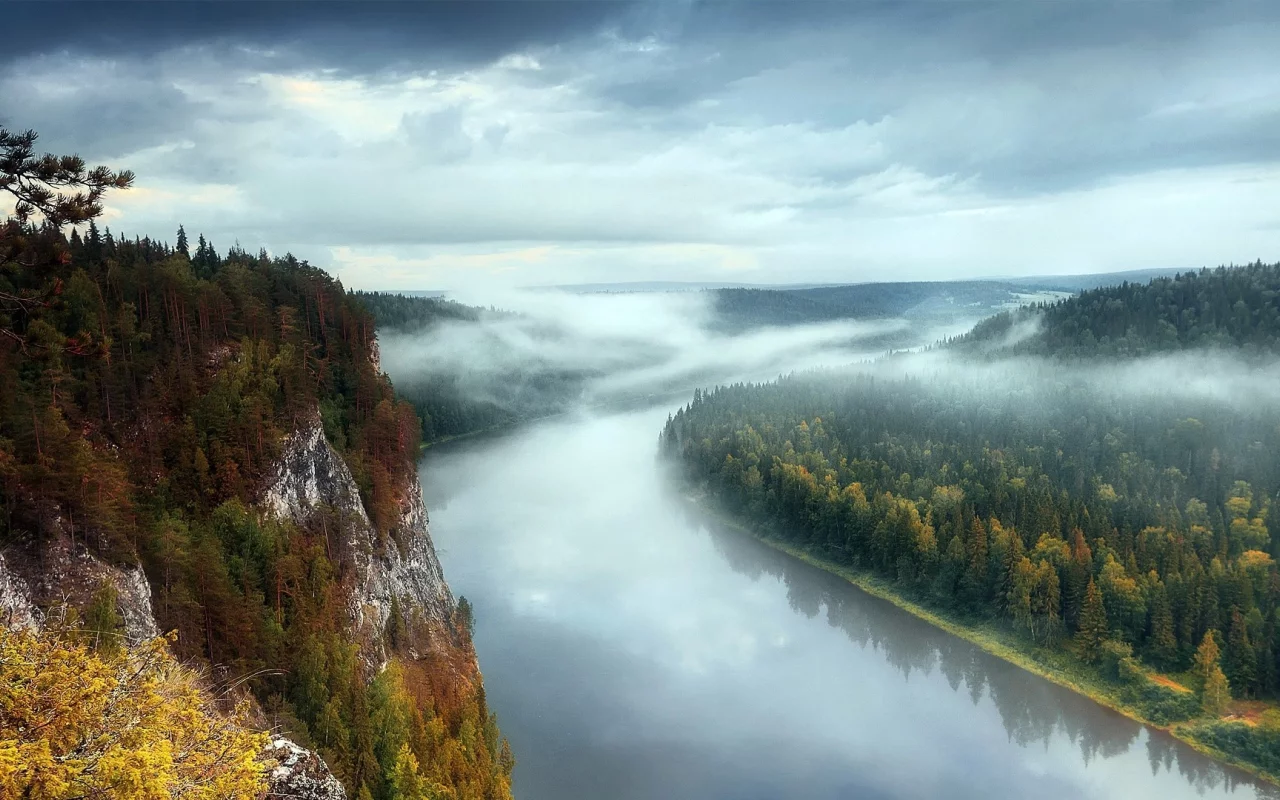 landscape, nature, river, forest, fog