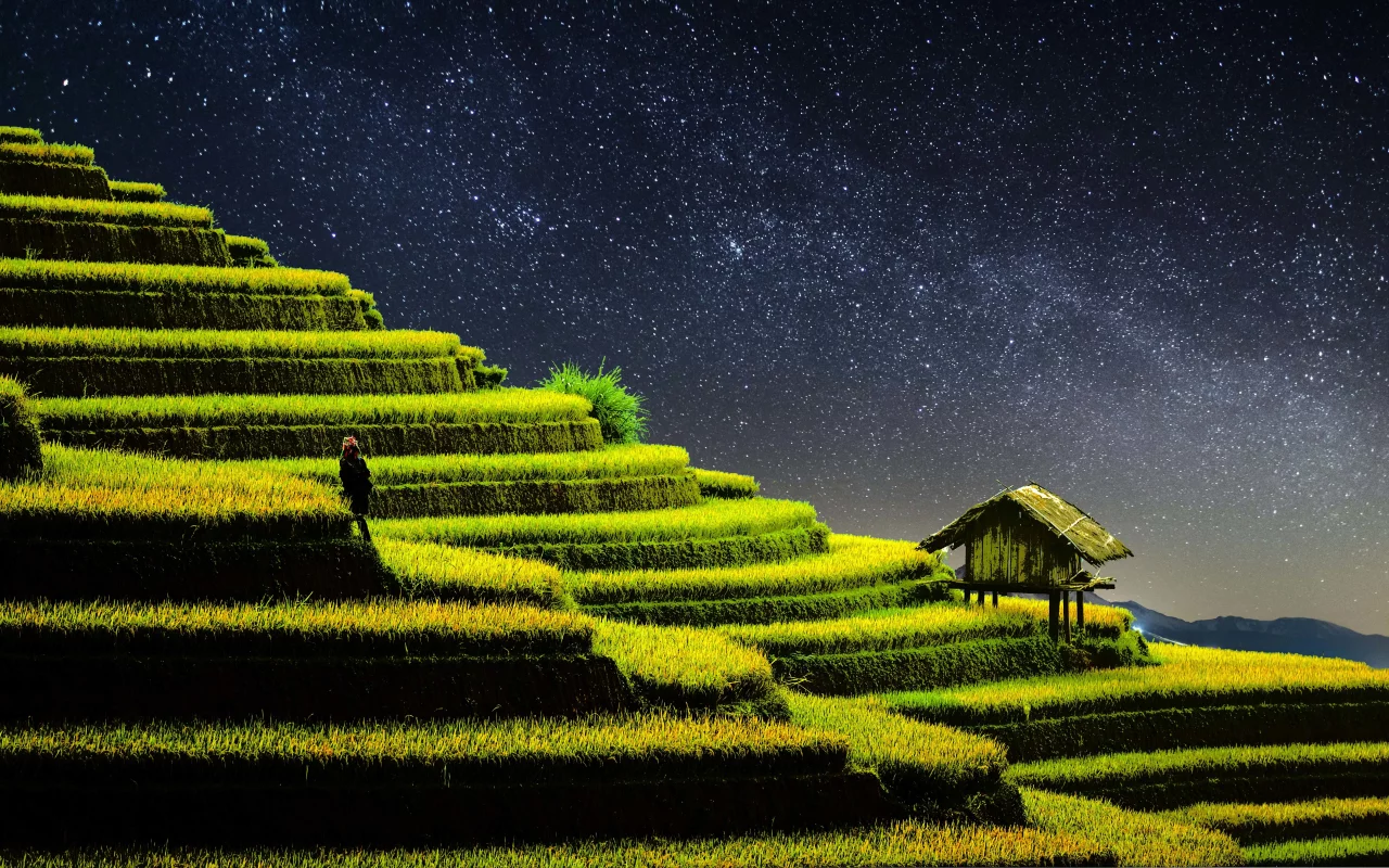 terrace, farming, rice fields, agriculture, country side