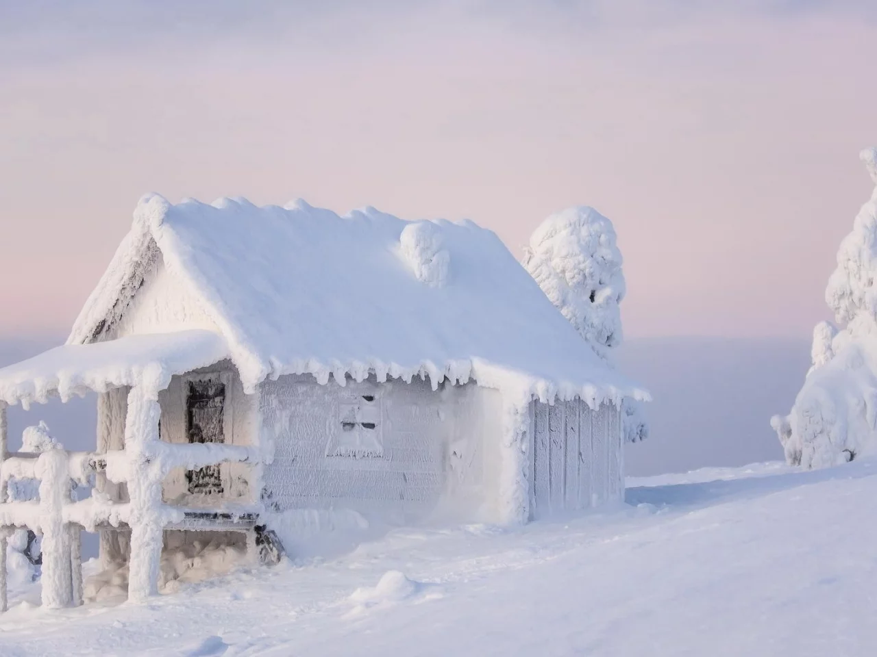 wood, frost, nature, calm, landscape, snow