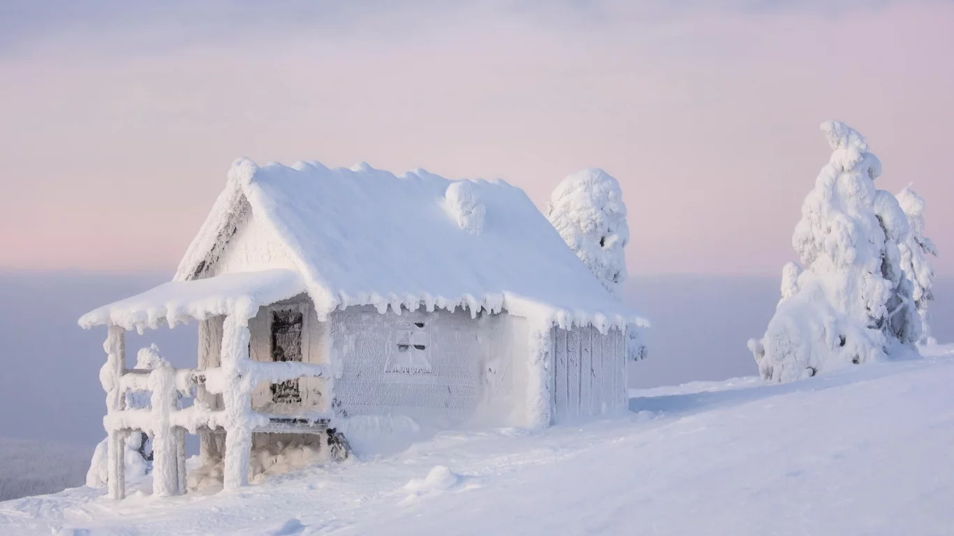 wood, frost, nature, calm, landscape, snow