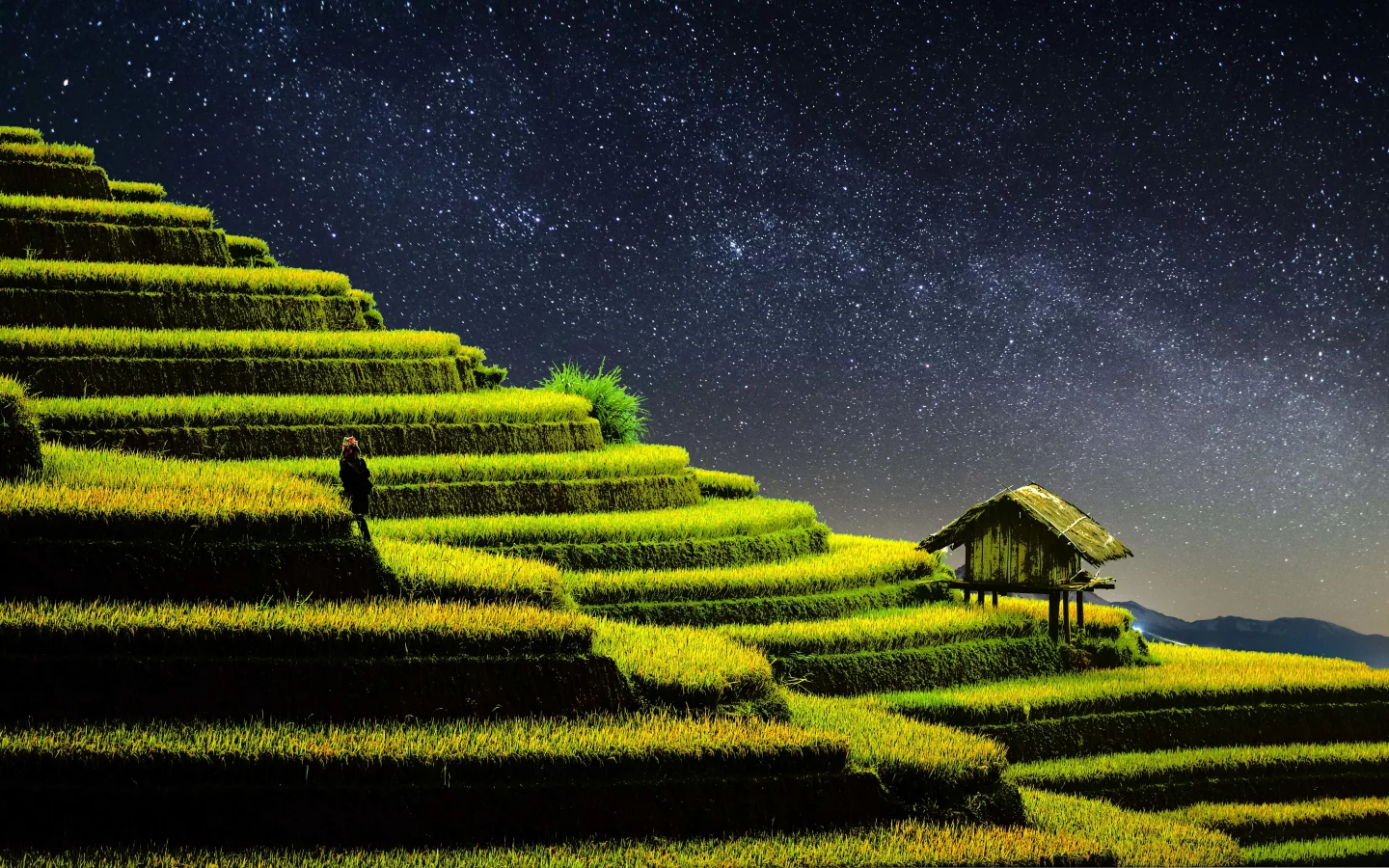 terrace, farming, rice fields, agriculture, country side
