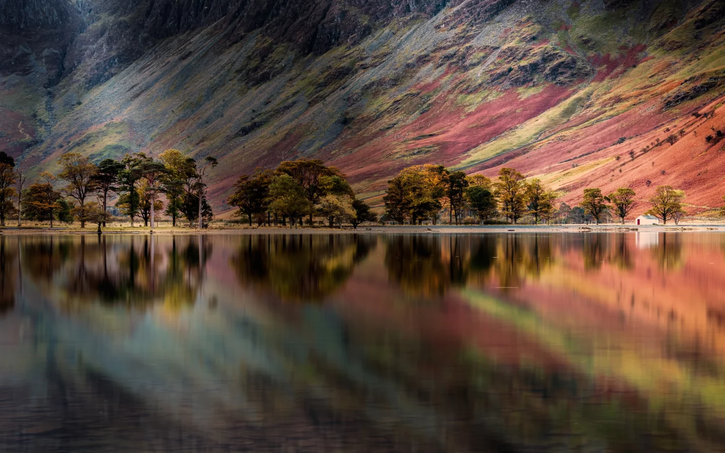buttermere, lake, england, pine trees, reflection, panoramic