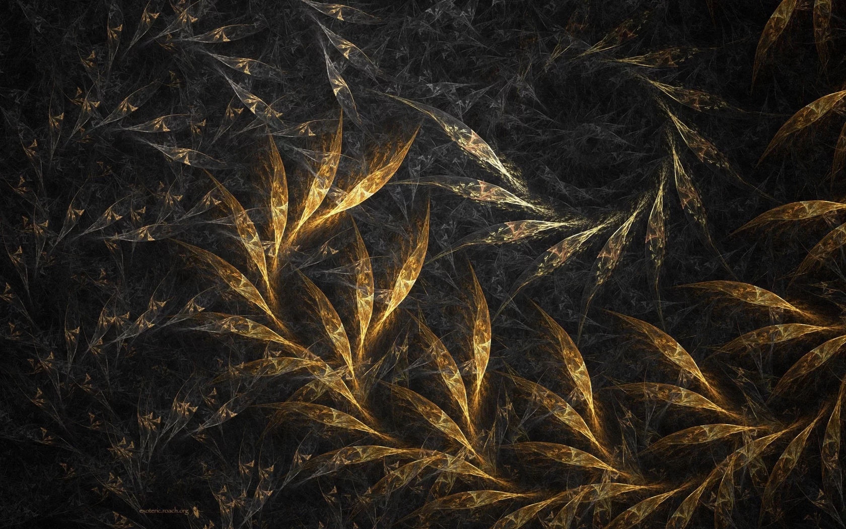 form, rotation, dark, leaves