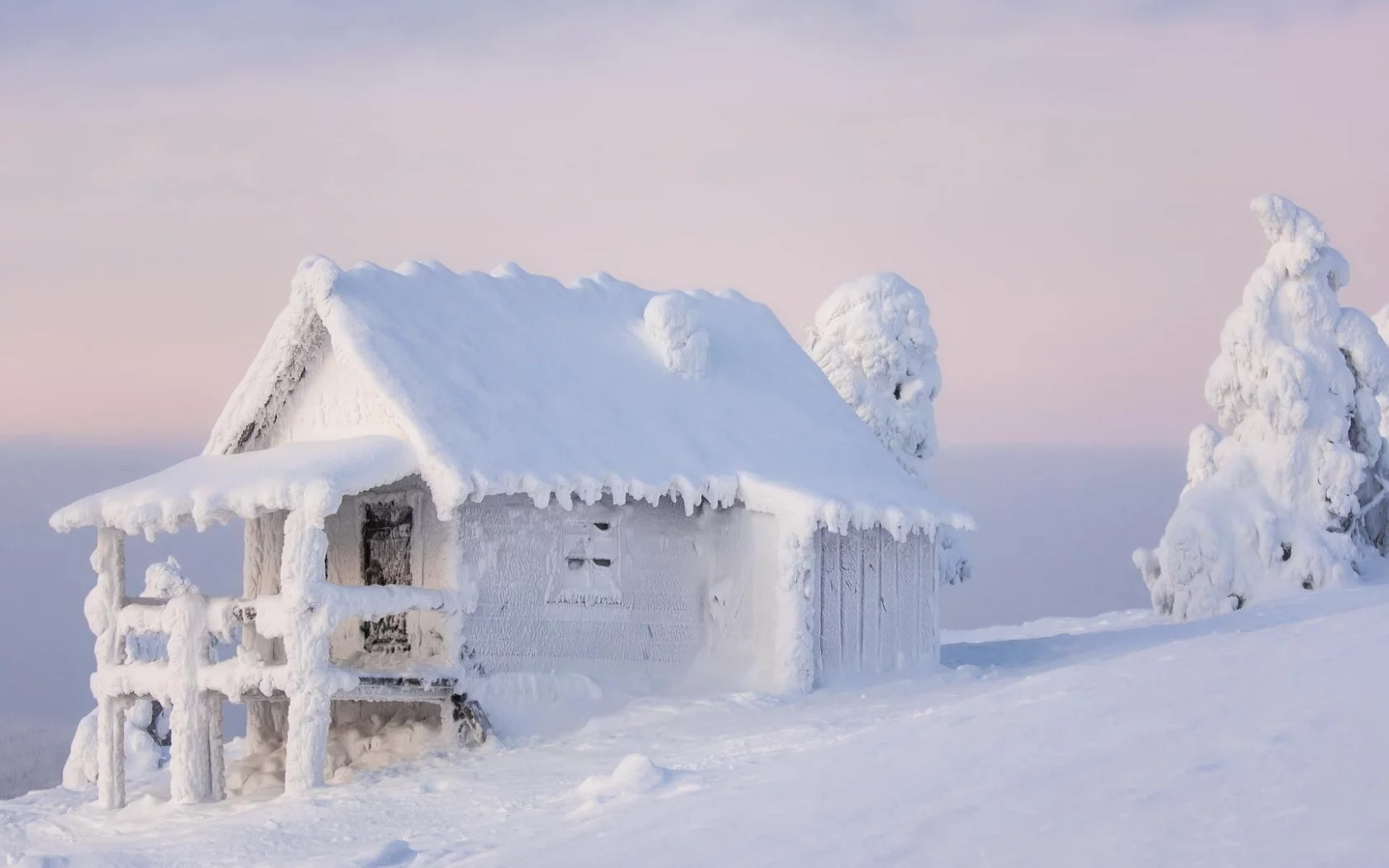 wood, frost, nature, calm, landscape, snow