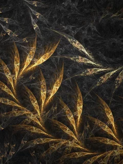 form, rotation, dark, leaves
