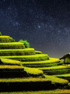 terrace, farming, rice fields, agriculture, country side