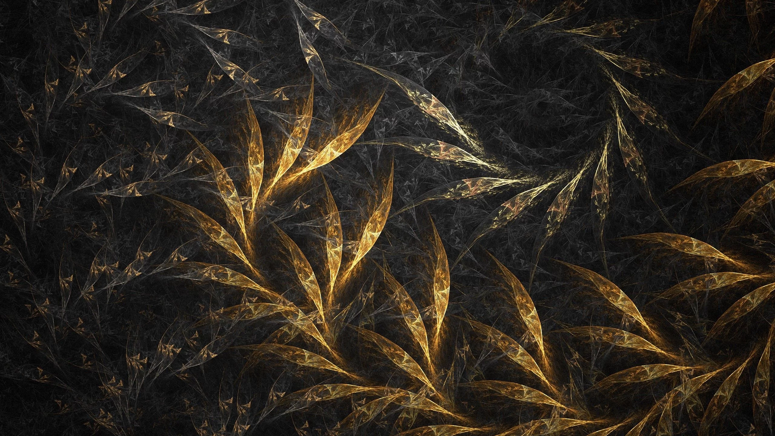 form, rotation, dark, leaves