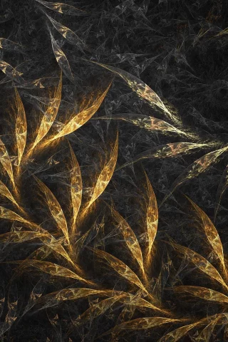 form, rotation, dark, leaves