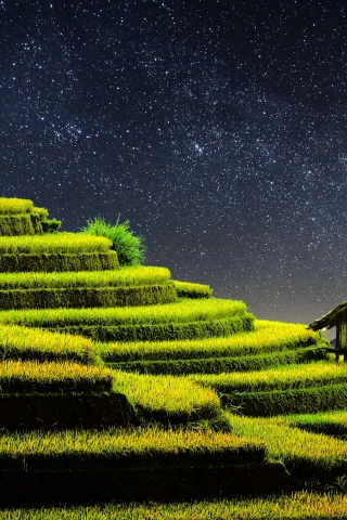 terrace, farming, rice fields, agriculture, country side