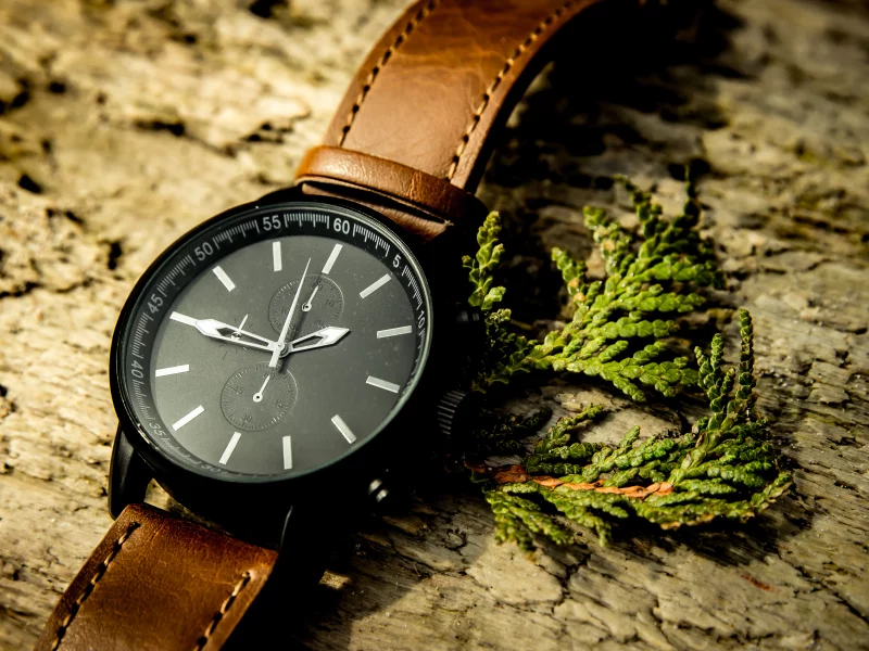 watch, strap, analog watch, watch accessory, fashion accessory