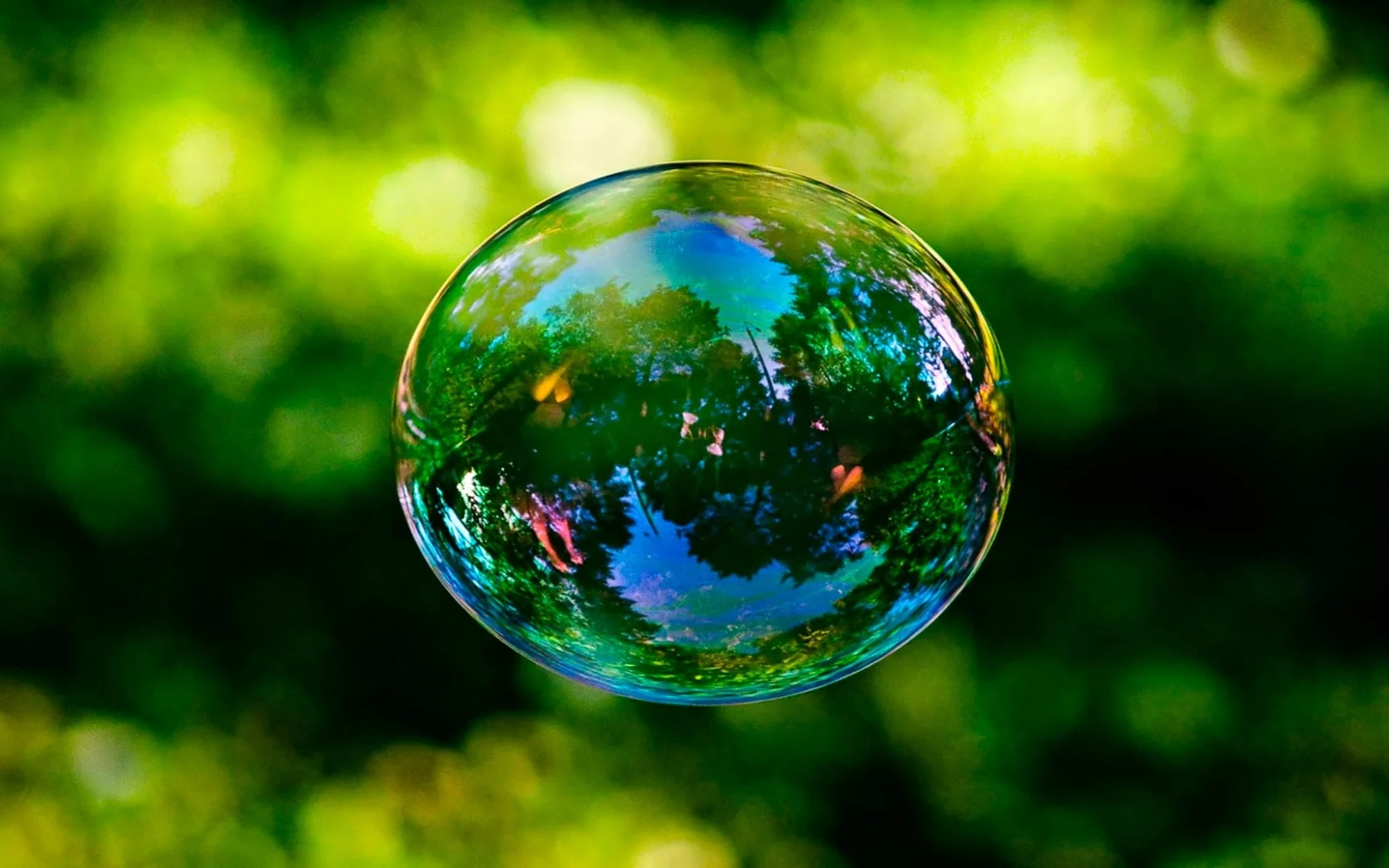 spring, frame, instant, soap, bubble, bright