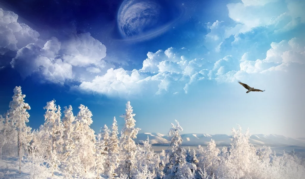winter, trees, mountains, sky, space, birds