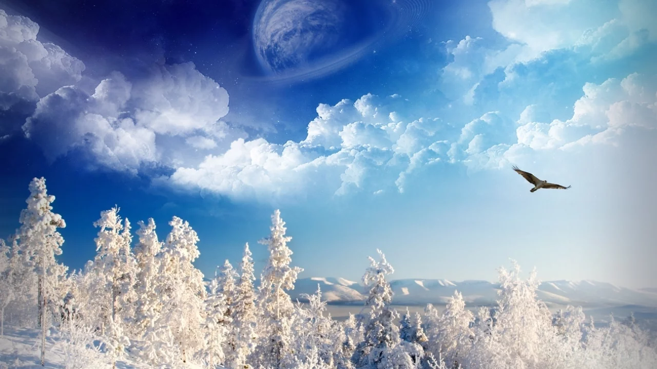 winter, trees, mountains, sky, space, birds