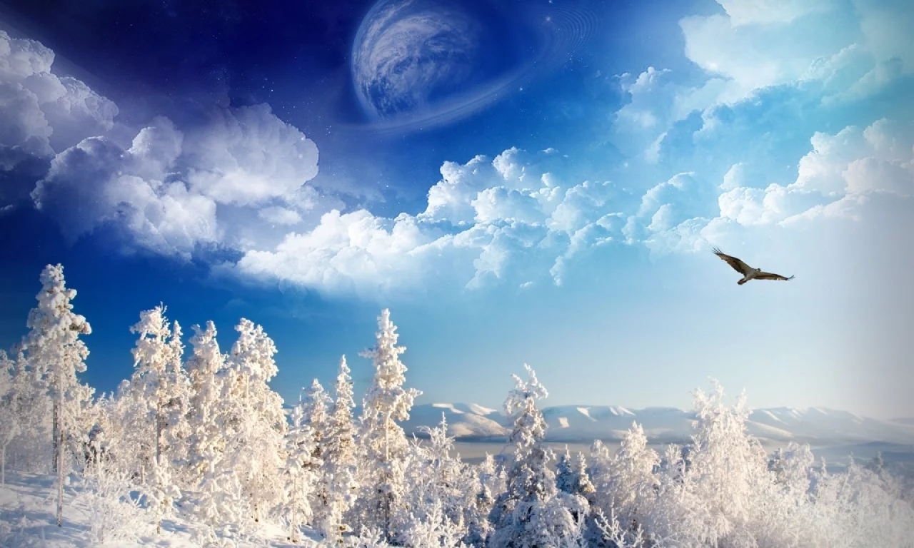 winter, trees, mountains, sky, space, birds