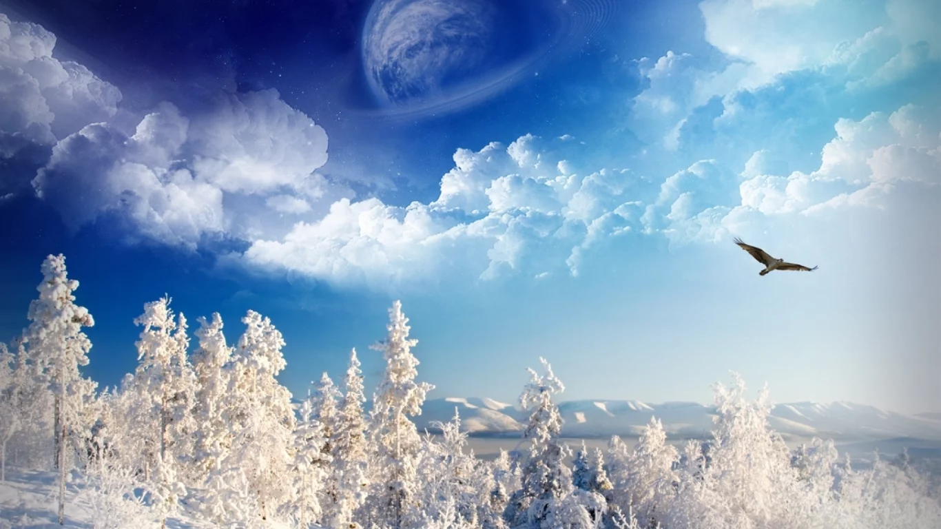 winter, trees, mountains, sky, space, birds