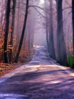 Природа