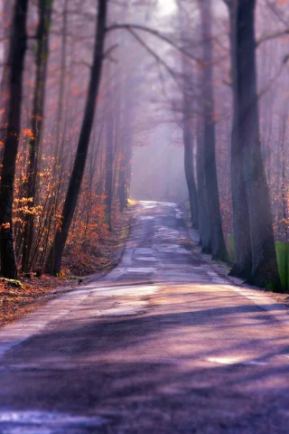 Природа