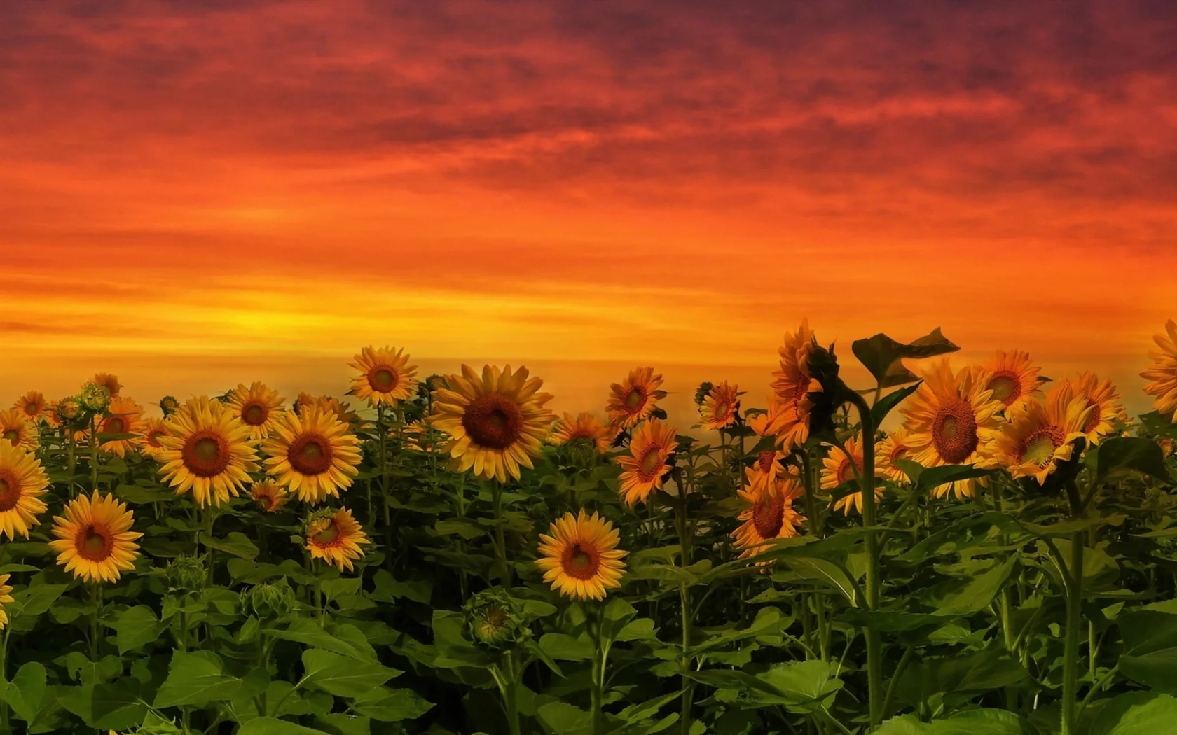 Природа