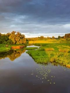 природа