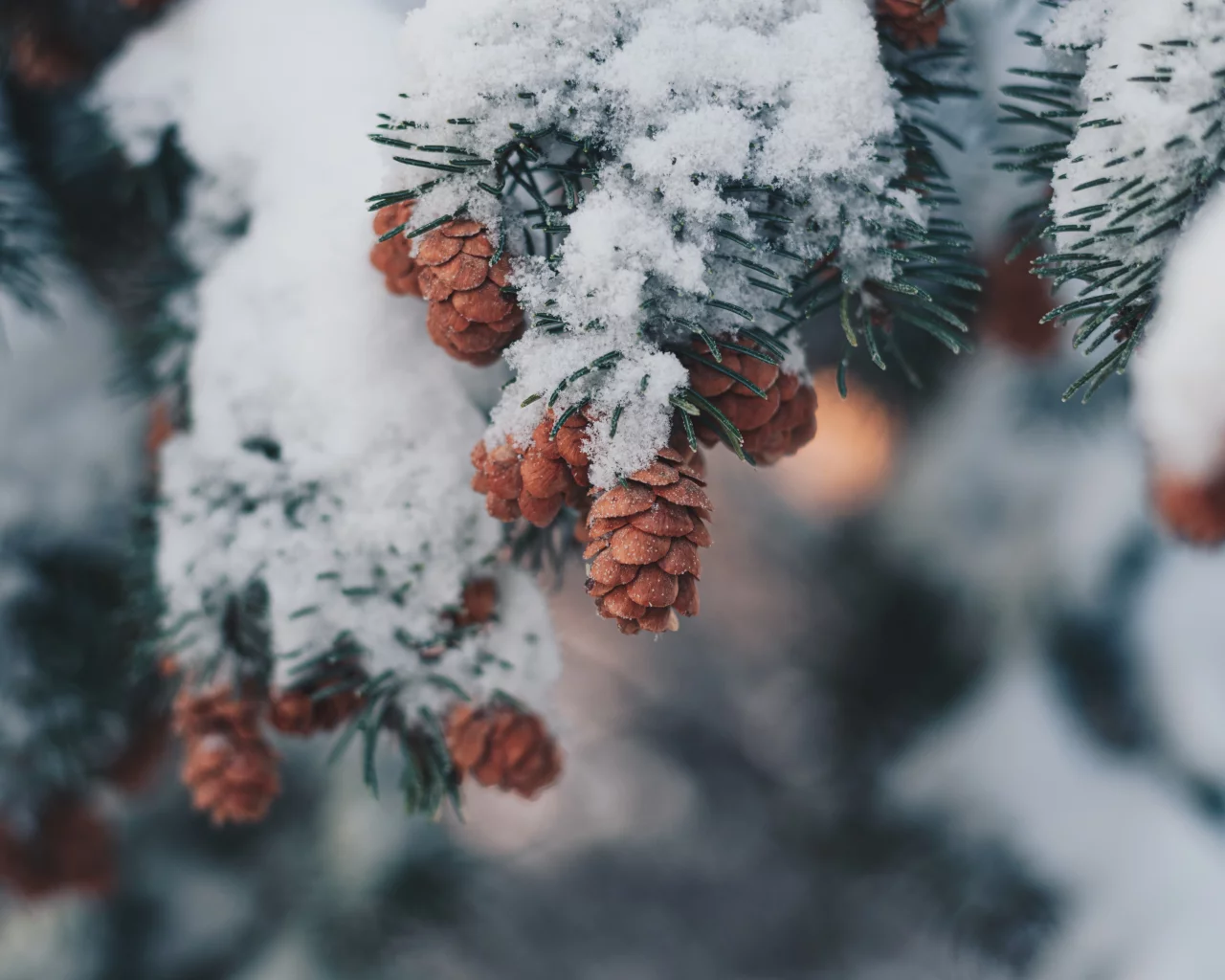 Разное