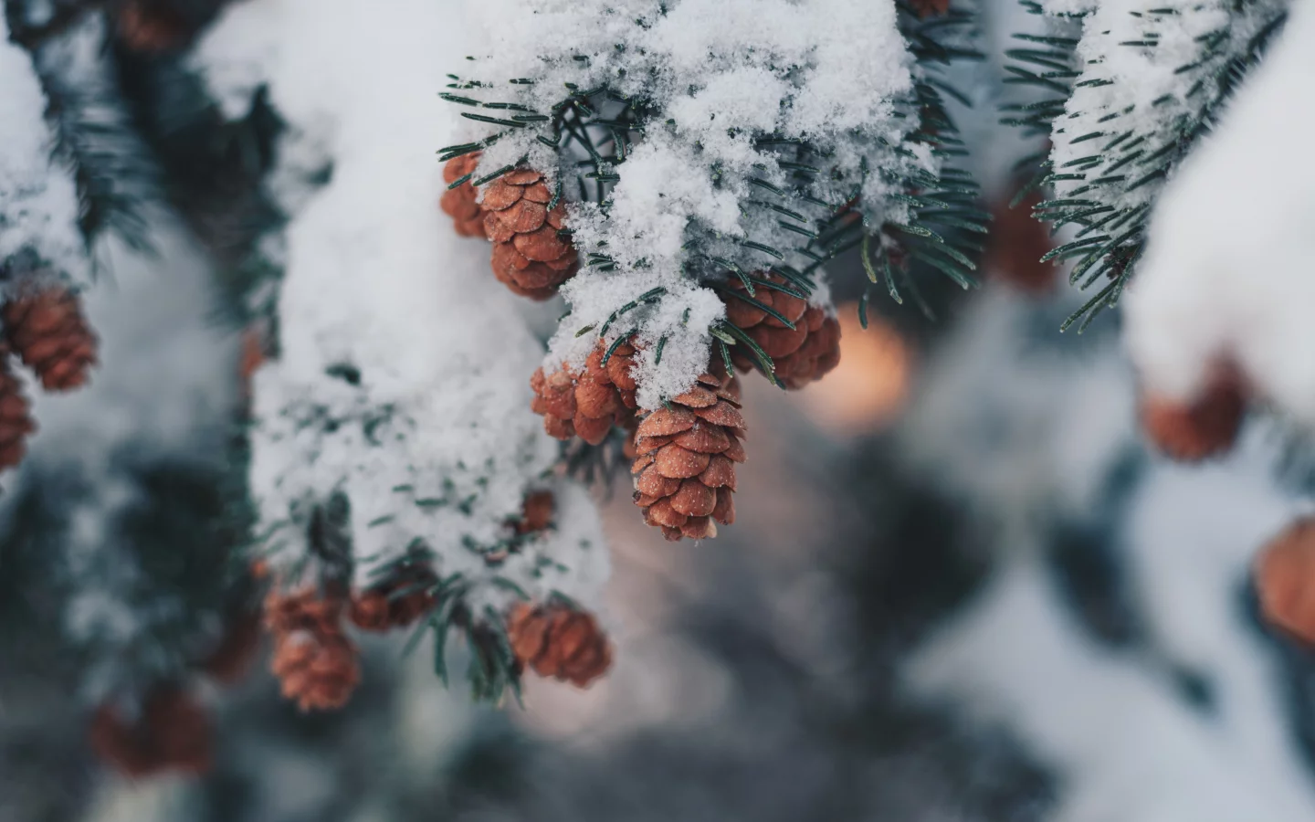 Разное