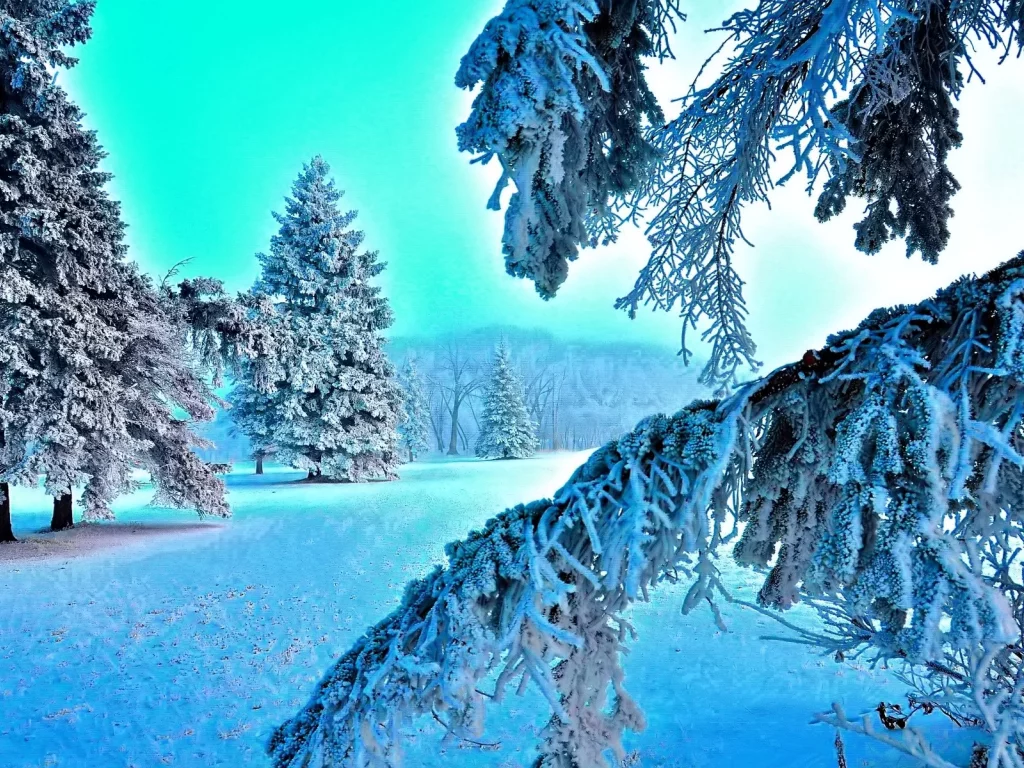 зима