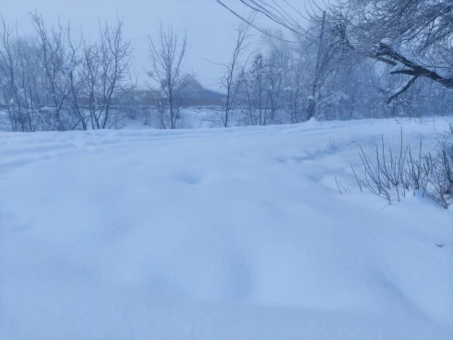 зима