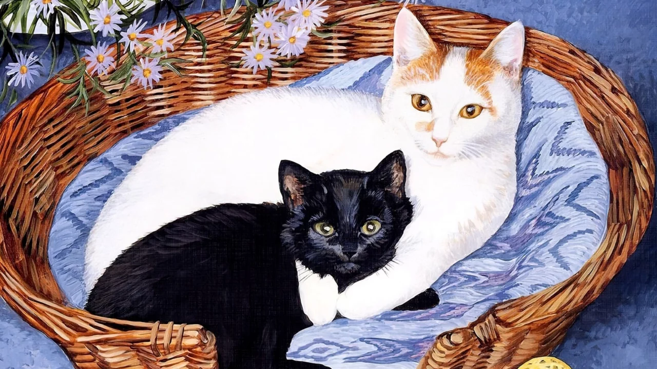 коты
