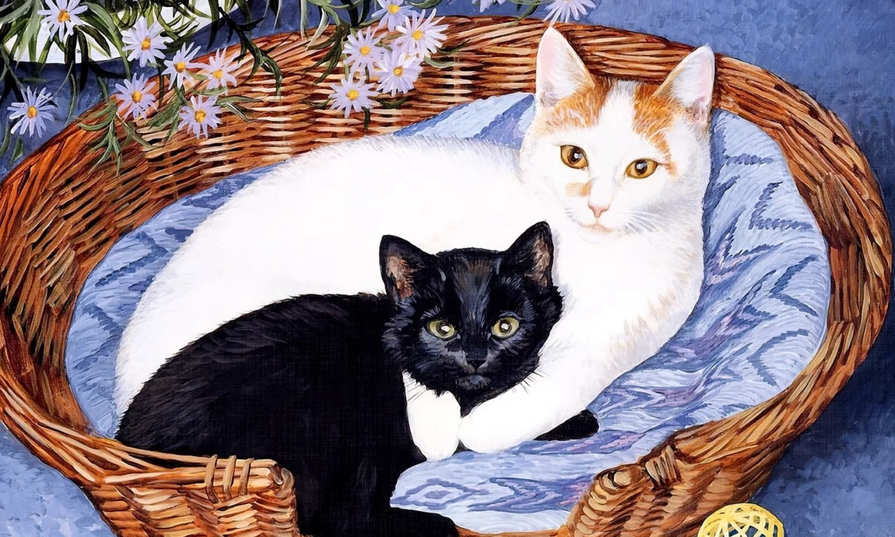 коты
