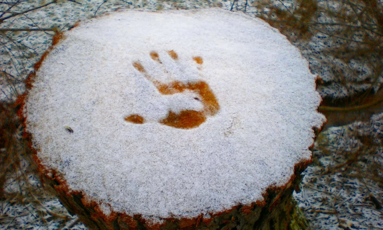 разное