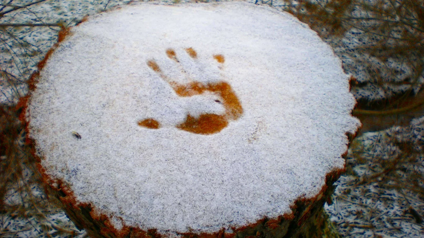 разное