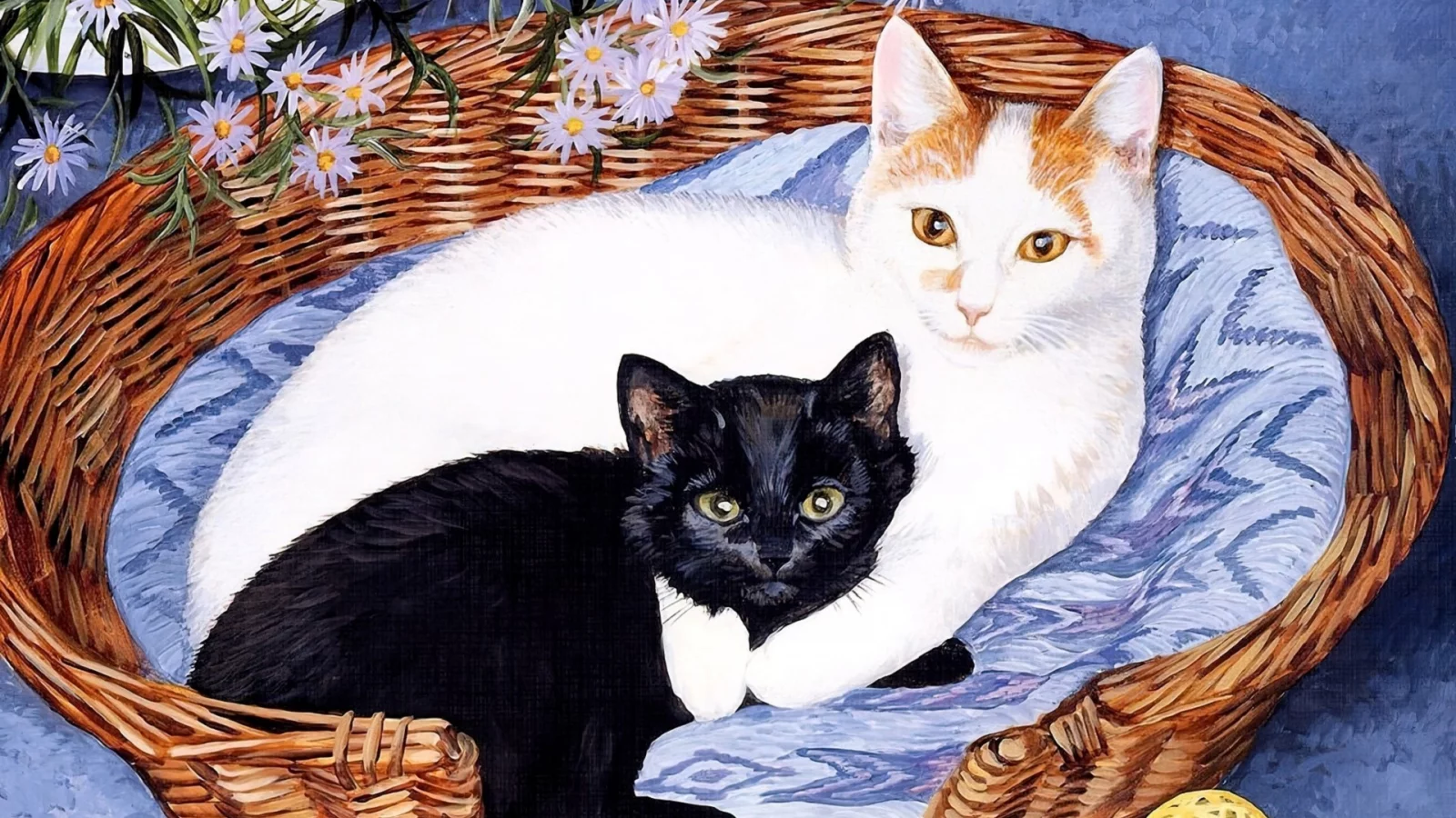 коты