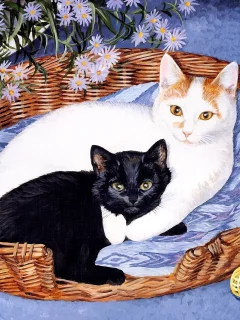 коты