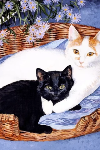 коты