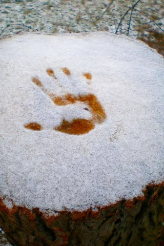разное