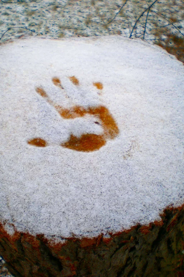 разное