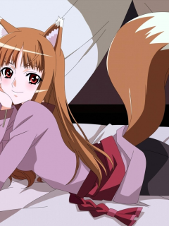 Spice and wolf
