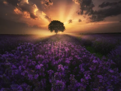 природа