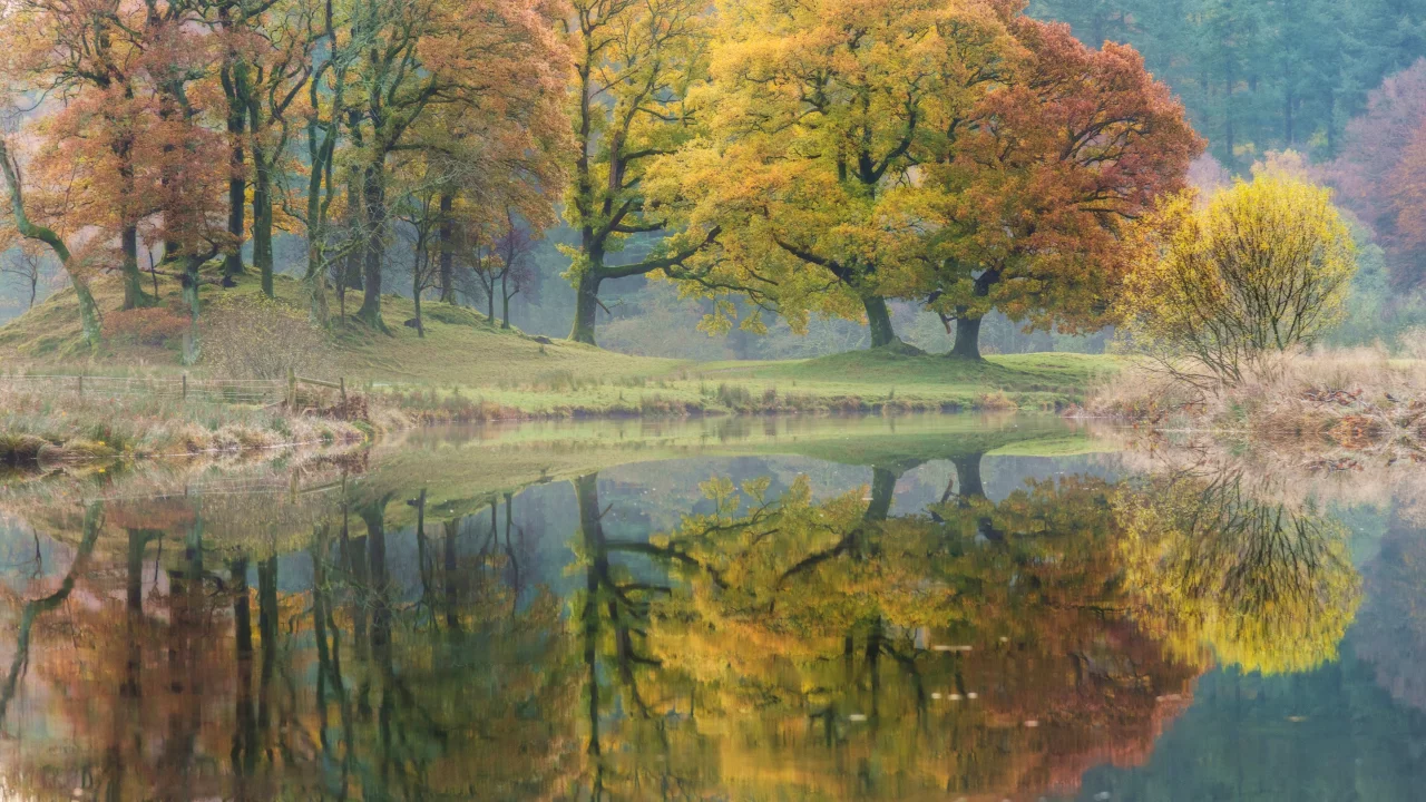 осень