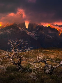 Национальный парк Torres del Paine