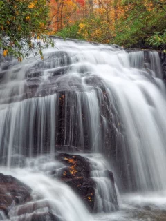 природа