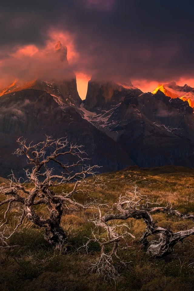 Национальный парк Torres del Paine