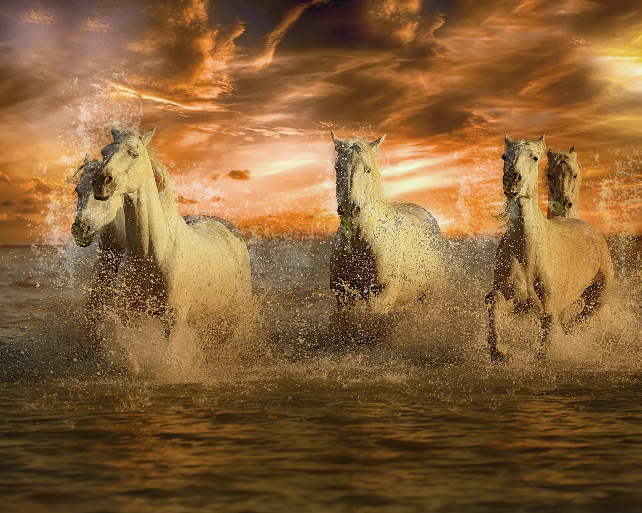 Caballos
