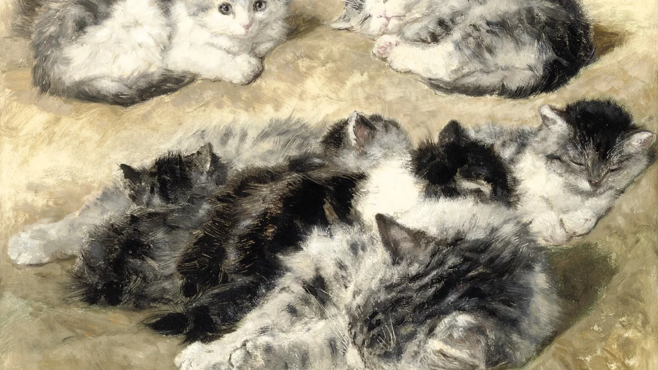 Henriette Ronner-Knip