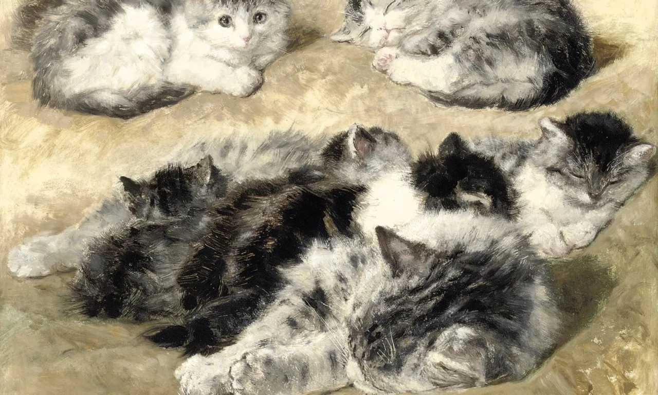 Henriette Ronner-Knip